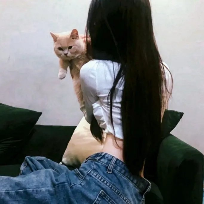我的铁血金戈梦